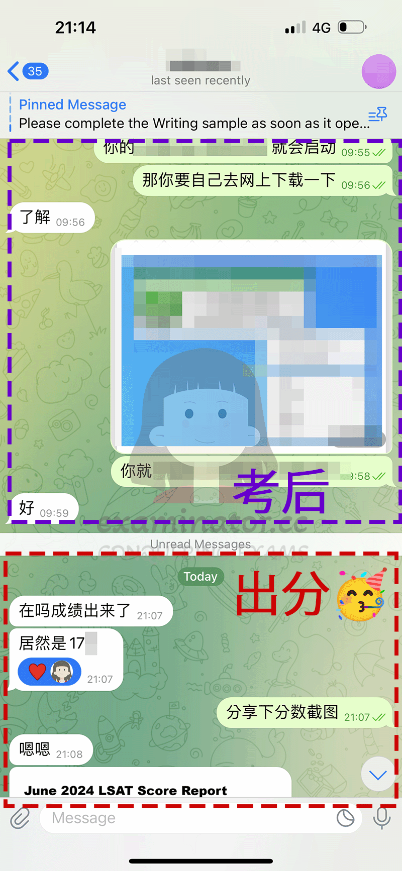 screenshot of chat logs for LSAT Cheating success story #656