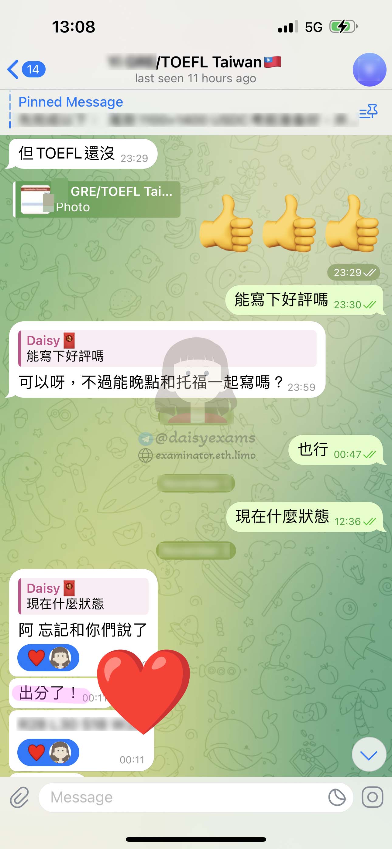 screenshot of chat logs for GRE Cheating success story #684